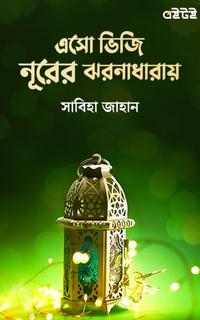 এসো ভিজি নূরের ঝরনাধারায়