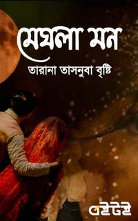 মেঘলা মন