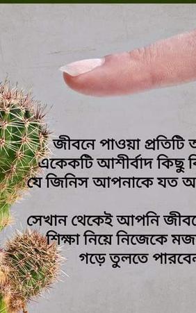আবেগহীন হোন কর্পোরেট জবে