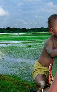 সফলতার পেছনের গল্প