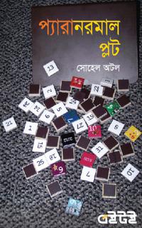 প্যারানরমাল প্লট