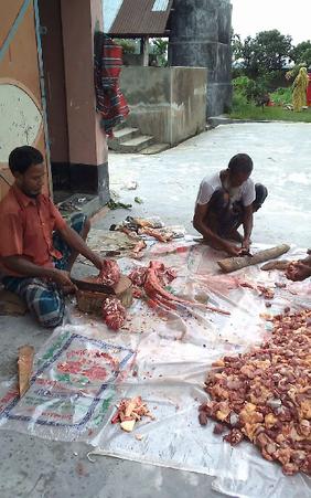 কসাই ব্লগ জাকির