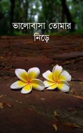 ভালোবাসা তোমার নিড়ে