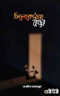 চিলেকোঠায় রোদ্দুর